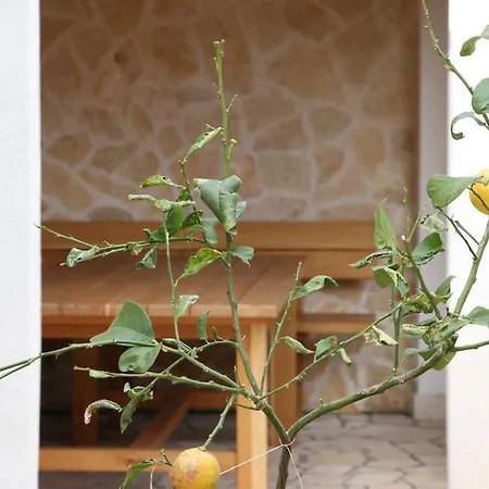 Morska Sirena Apartman Orebic