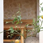 Morska Sirena Apartman Orebic